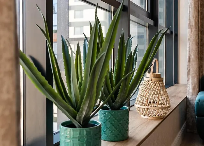 Metalex Garden 2bdrm Luxury Varna